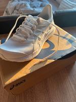 Asics Hallenschuhe 42 Hessen - Hessisch Lichtenau Vorschau