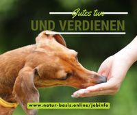 Mit Hund und Katz Karriere starten Düsseldorf - Derendorf Vorschau