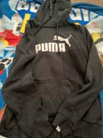 Puma Pullover 40 Sachsen-Anhalt - Magdeburg Vorschau