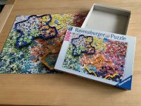 Puzzle der Firma Ravensburger 1008 Teile Nordrhein-Westfalen - Euskirchen Vorschau