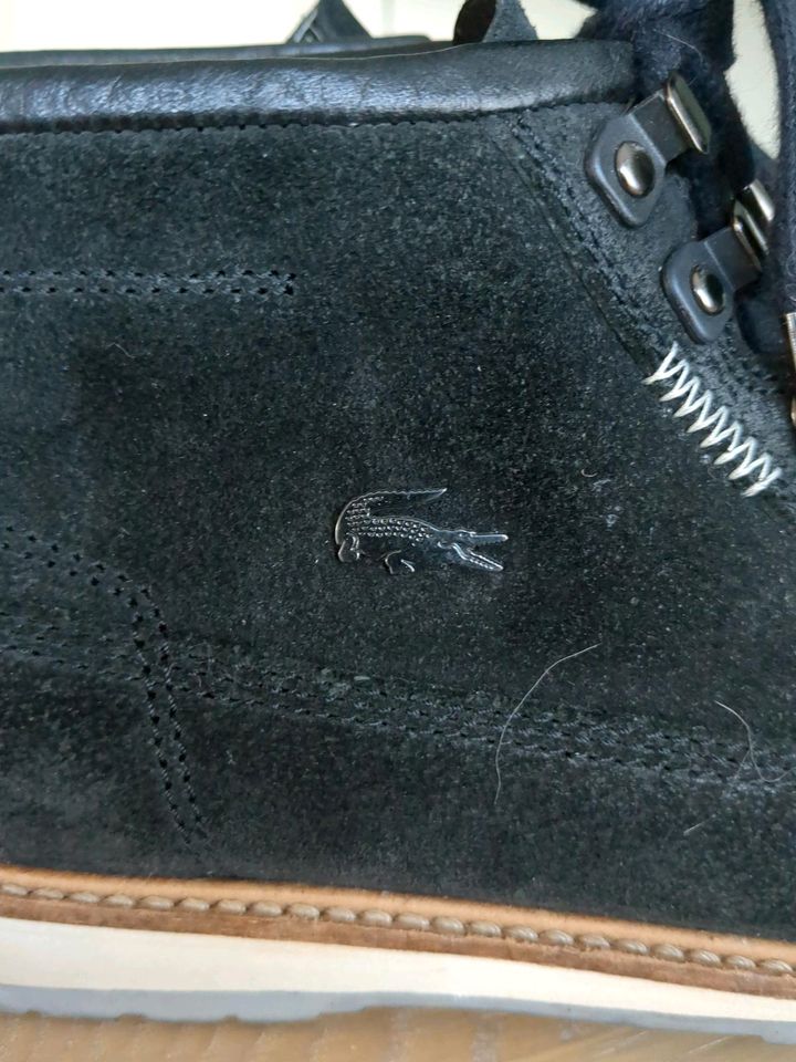 Lacoste Herren Leder Schnürstiefel in Neustadt (Wied)