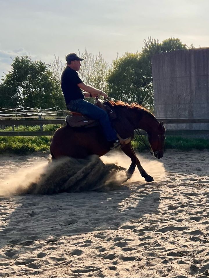 Westernreiten, Training, Beritt, Reining, Ausbildung in Ellerhoop