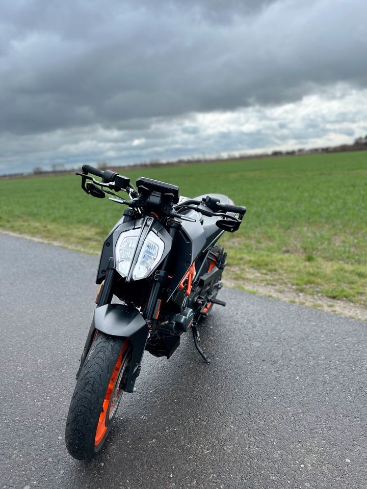 Ktm Duke 125 in Zahna-Elster