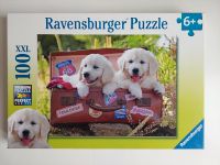 Ravensburger Kinderpuzzle - 10538 Verschnaufpause - Hunde XXL 6+ Thüringen - Jena Vorschau