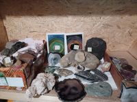 Fossile Steinsammlung 25 Teile+Kleinteile Fisch Schnecken u.mehr Herzogtum Lauenburg - Mölln Vorschau