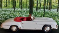 Modellauto Mercedes Benz 190 SL weiß 1:18 Hessen - Guxhagen Vorschau