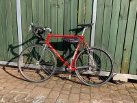 Rennrad Zullo RH 61 komplett Shimano 600 (Ultegra) Harburg - Hamburg Hausbruch Vorschau