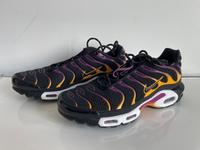 Nike Air Max Plus goldfarben Viotech violett / Grösse 47.5 Baden-Württemberg - Bad Säckingen Vorschau