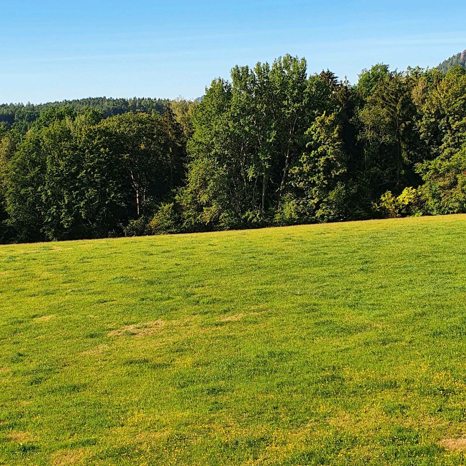 Ferienwohnung " Willkommen im Herzen der Sächsischen Schweiz" in Bad Schandau