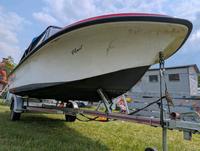 Motorboot Trainer 3 mit 25PS Mercury und Trailer Sachsen-Anhalt - Loburg Vorschau