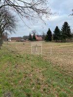 Ihre Chance zum bezahlbaren Grundstück in toller Lage Brandenburg - Calau Vorschau