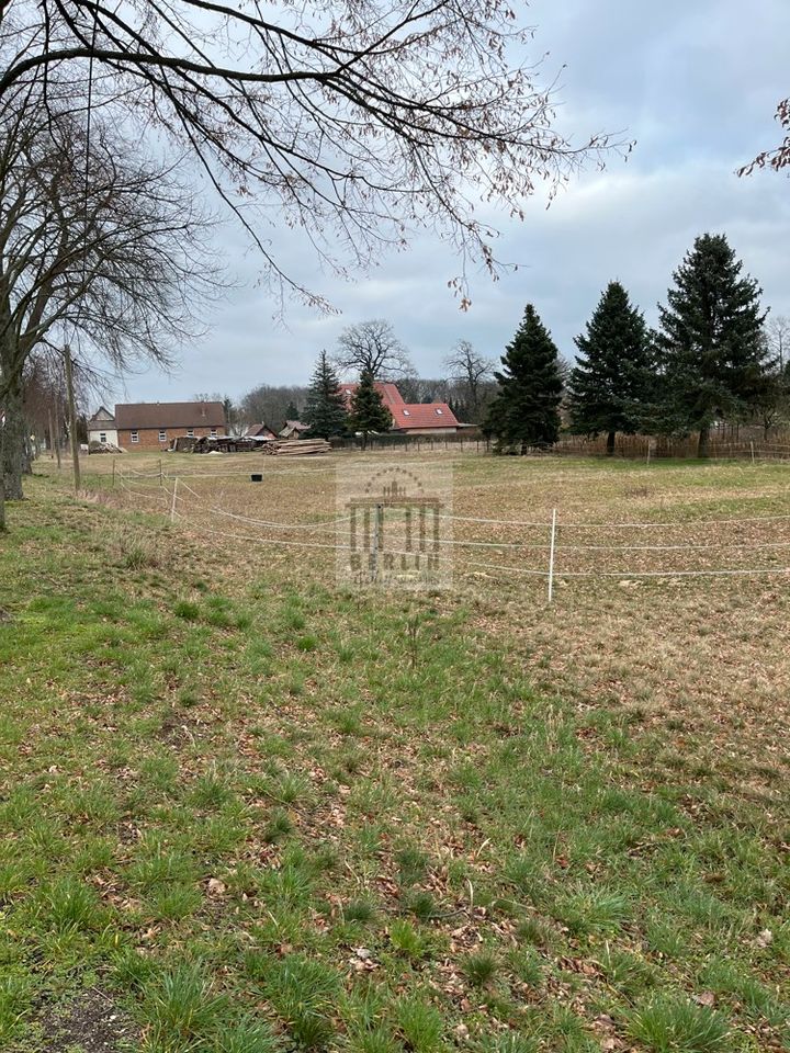 Ihre Chance zum bezahlbaren Grundstück in toller Lage in Calau