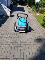 Croozer kid plus for 1 Rügen - Ostseebad Binz Vorschau