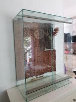 Terrarium 100x80x40 Sachsen - Schkeuditz Vorschau