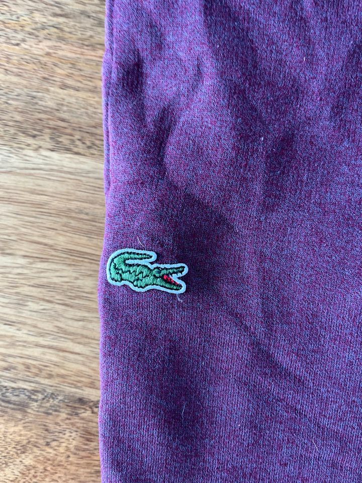 Lacoste Jogginghose größe M/L neuwertig in Niederkassel