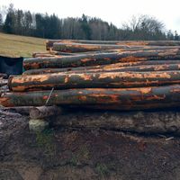 Stammholz Buche Thüringen - Sitzendorf Vorschau