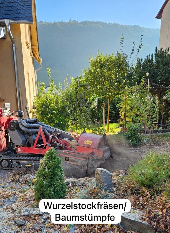 Baumfällarbeiten Heckenschnitt Baumpflege Mulcharbeiten in Orsfeld