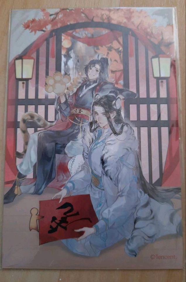 Mo Dao Zu Shi MDZS the untamed TGCF wangji wuxian merch danmei in Bremen