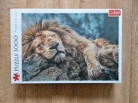 Puzzel 1000 Teile (neu) Nordrhein-Westfalen - Paderborn Vorschau