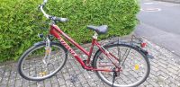 Damen Fahrrad 28er gebraucht Bayern - Poppenhausen Vorschau
