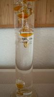 Galileo Thermometer 39cm hoch Bayern - Deggendorf Vorschau