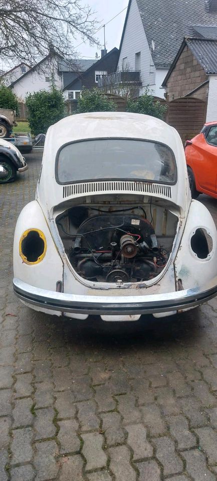 Nur heute!VW Käfer zum restaurieren! in Lutzerath