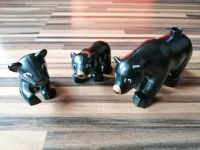 Lego Duplo Zoo Bär Schwarzbär Panther Bayern - Fürth Vorschau