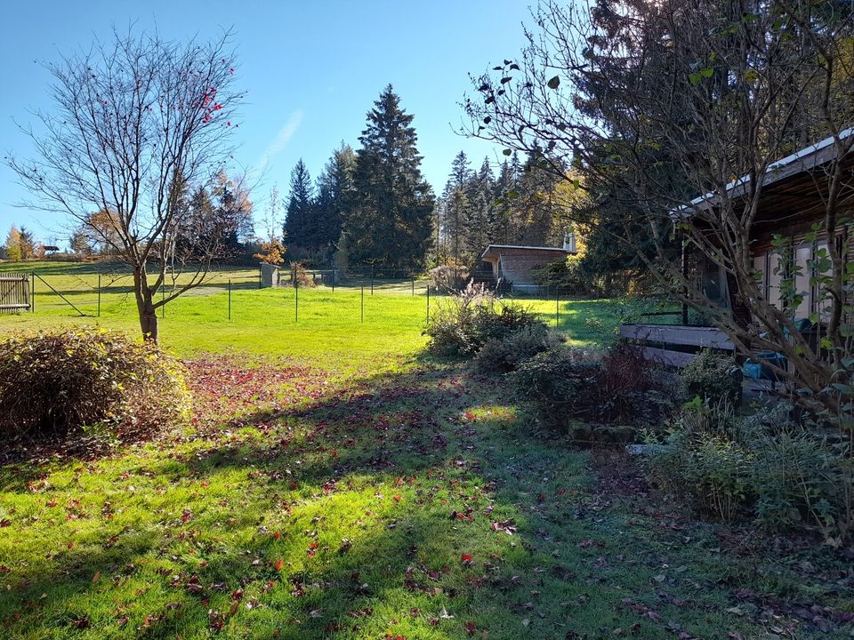 Garten, Gartengrundstück, Erholungsgrundstück in Auerbach (Vogtland)