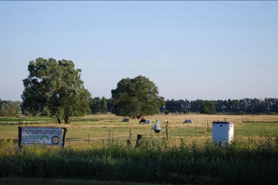 Pferdepension Pferdestall Offenstall Reitstall Stall frei in Dreetz