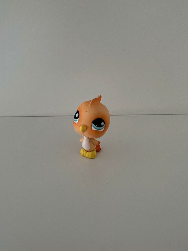 Littlest Pet Shop Spielfigur Vogel Küken #976 / Sammelfigur LPS in Hanau