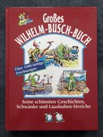 Buch - Großes Wilhelm-Busch-Buch Sachsen - Großrückerswalde Vorschau