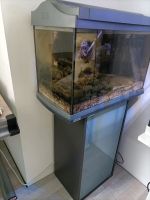 Aquarium mit Unterschrank und Technik Kreis Pinneberg - Heidgraben Vorschau