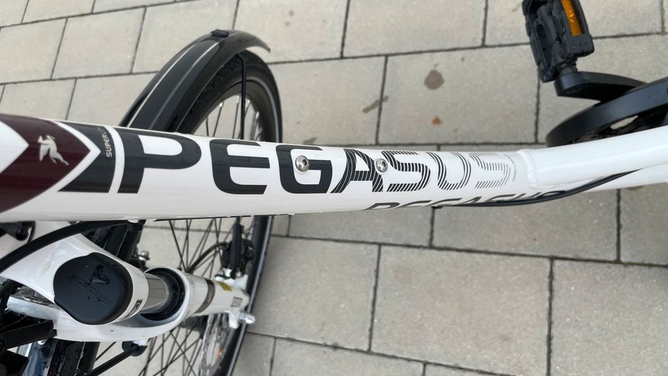 Fahrrad Pegasus OperoSL24 NEU in Aiglsbach