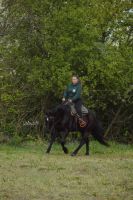 Reitunterricht mobil/ online Brandenburg - Wusterhausen Vorschau