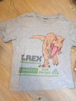 TShirt Dino T Rex Gr. 110/117 Bayern - Augsburg Vorschau