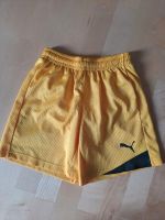 Sporthose Kurzehose 140 Puma München - Ramersdorf-Perlach Vorschau