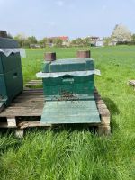Bienen Volk abzugeben 2 Stück Bienenvölker Imker Hessen - Fulda Vorschau