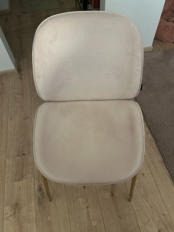 Samtstuhl  2 stk verfügbar - 50€pro Stuhl in Leimen