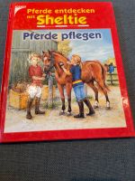 Pferde pflegen - Tolles Buch für Reitanfänger Niedersachsen - Niedernwöhren Vorschau