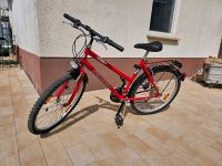 Rotes Fahrrad Damenfahrrad Rheinland-Pfalz - Weingarten Vorschau
