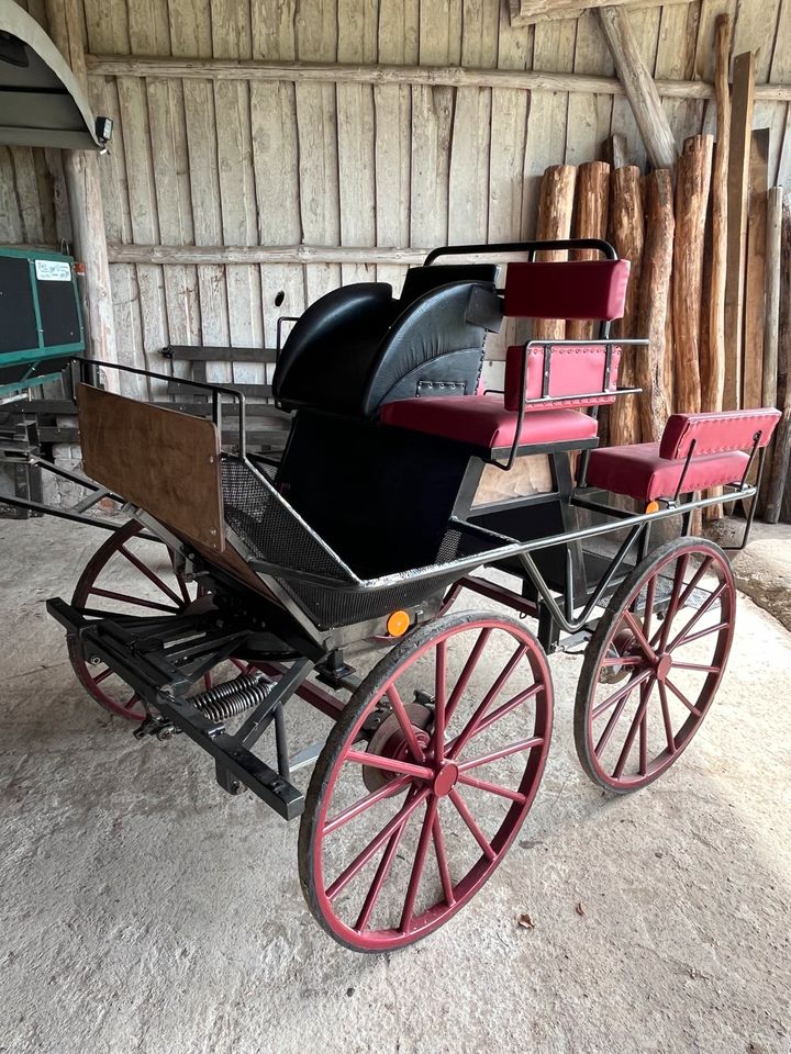 Marathonwagen /Kutsche in Wittstock/Dosse