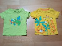 Baby T- Shirts Gr. 68 von Venere Niedersachsen - Garbsen Vorschau