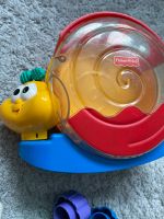 Sortier Schnecke von Fisher Price Hessen - Kassel Vorschau