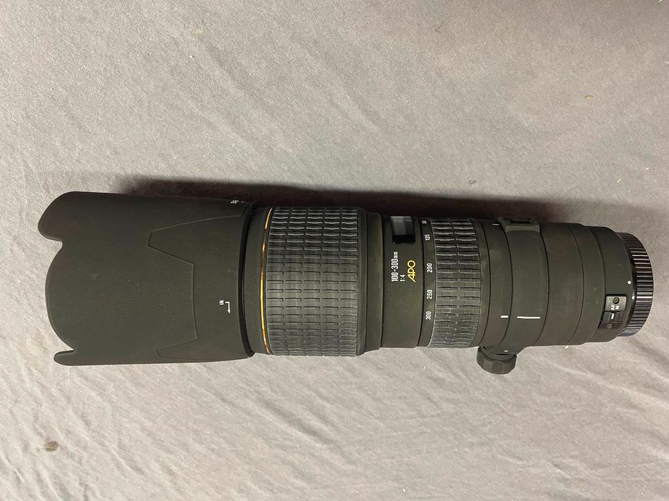 Sigma AF 100-300/4,0 APO EX DG - für Canon in Grünheide (Mark)
