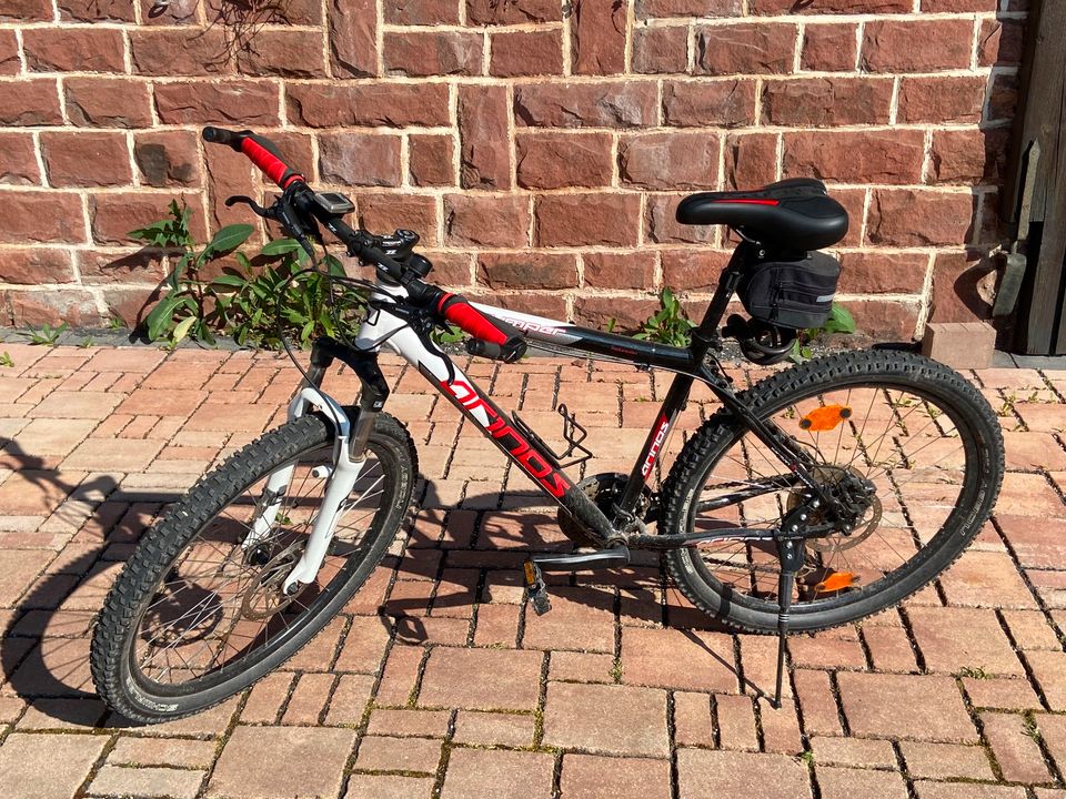 Arinos Bumper Mountainbike MTB Fahrrad 26“ Shimano 24 Gang in  Baden-Württemberg - Buchen (Odenwald) | Herrenfahrrad gebraucht kaufen |  eBay Kleinanzeigen ist jetzt Kleinanzeigen