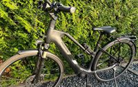 Pegasus Enovo EVO 10 Damen E-Bike Nordrhein-Westfalen - Frechen Vorschau