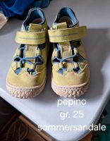 Sommerschuhe pepino gr25 Niedersachsen - Soltau Vorschau