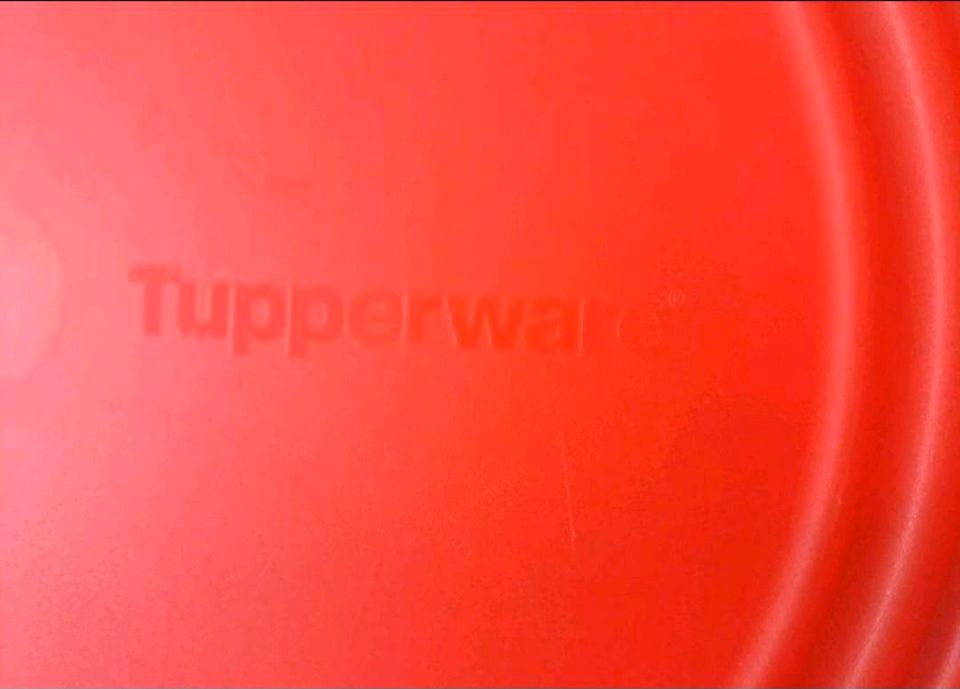 Tupperware Schüssel mit Deckel 1,5 l in Bendorf