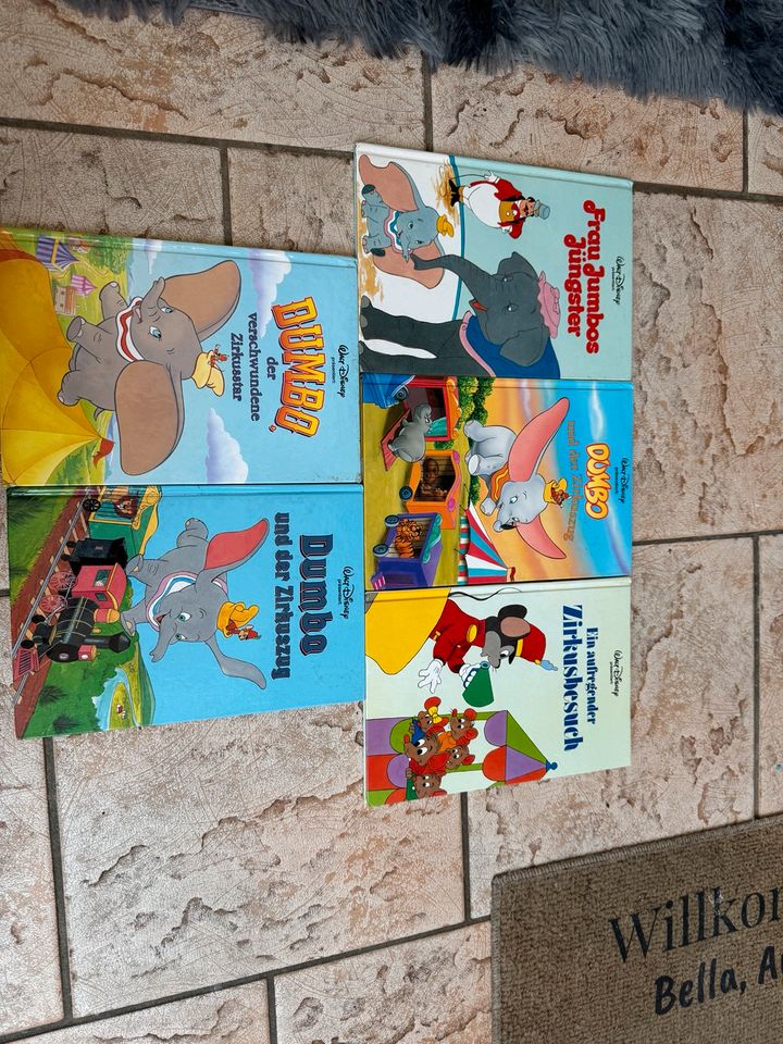 Diverse Disney Bücher in Lütjensee