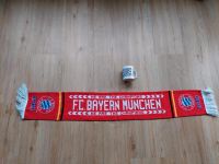 FC Bayern Schal Buch Kaffeebecher 80er 90er Jahre Schleswig-Holstein - Elmshorn Vorschau
